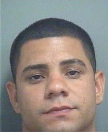 Wilfredo Alvarado, - Palm Beach County, FL 